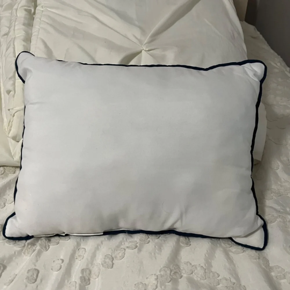 Set of 2 throw pillows.